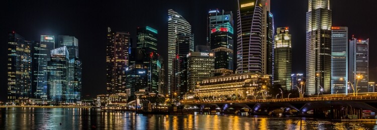 Виза в Сингапур для россиян в 2022 году: безвизовый транзит на 96 часов