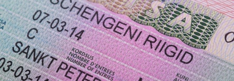 Шенгенская виза в Эстонию для россиян в СПб — как открыть самостоятельно в 2022 году