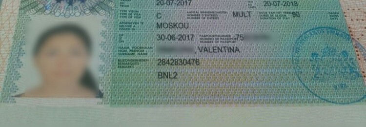 Шенгенская виза в Нидерланды для россиян – как получить самостоятельно в 2022 году